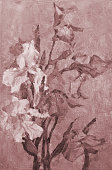 istock illustration artwork oil painting flowers  landscape irises in sepia 1484464164