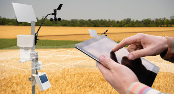 istock Farmer control weather station via digital tablet. 1484464468