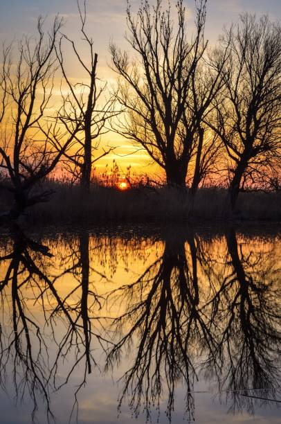 istock Beautiful summer landscape by the river. 1484468400