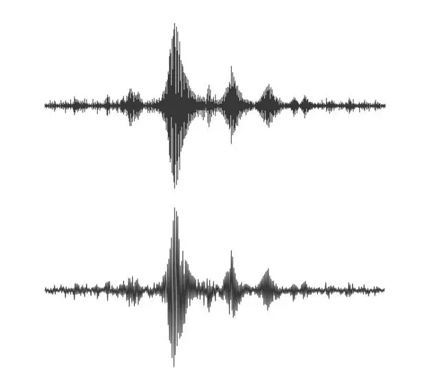 Vector illustration of Earthquake seismograph wave, seismic graph diagram