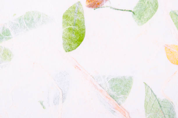 istock The Handmade recycled leaf paper background. 1484473102