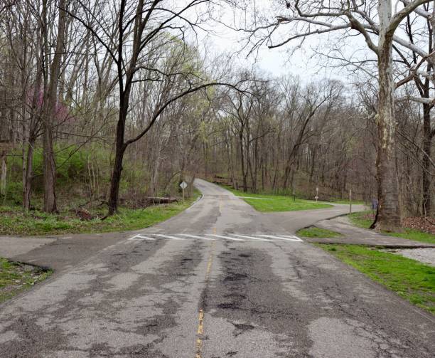 istock Empty Road in the Country 1484474361