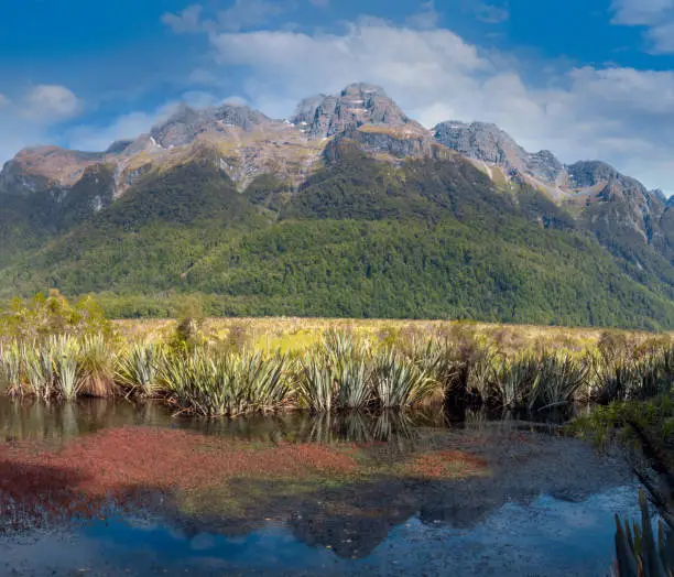Photo of Mirror lake and Earl Mountains  along State Highway 94 between Te Anau and Milford Sound, Fiordland National Park, South Island, New Zealand