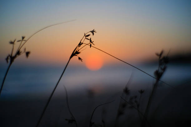istock Beautiful Sunset in Aceh, Indonesia 1484481265