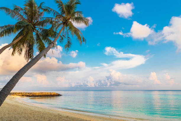 istock Coast of the Indian Ocean 1484485667