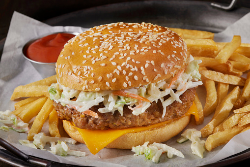 Juicy PORK Cheeseburger with Creamy Coleslaw and Fries