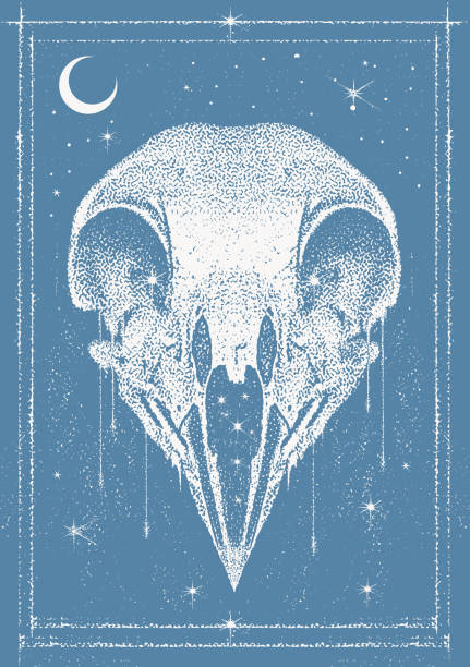 illustrations, cliparts, dessins animés et icônes de crâne d’oiseau de style gothique avec étoiles et lune - antique engraved image moonlight night