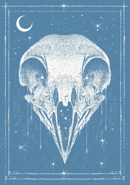 Vector illustration of Gothic Style Bird Skull with stars and moon