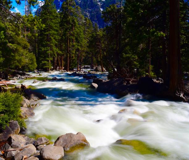 istock Yosemite National Park 1484501660