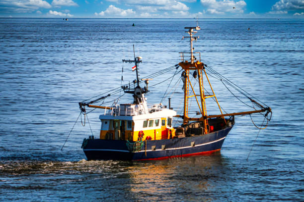 fishing boat - barco de pesca de camarões imagens e fotografias de stock