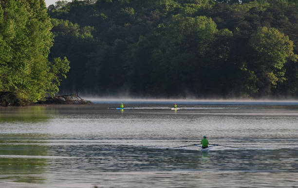 istock Early Morning Rowing on Lake 1484503717