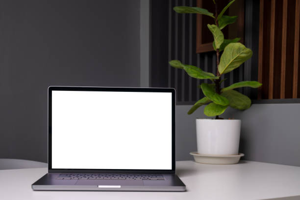 istock Blank screen of Laptop computer in workspace with plant pot 1484505828