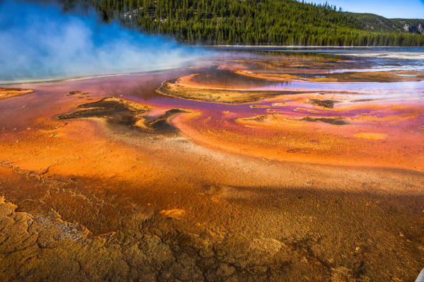 istock Gibbon Falls Yellowstone Park 1484514853