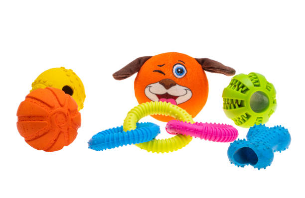 istock dog toys isolated 1484515282