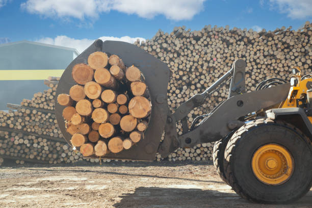 caricamento dei registri con un caricatore speciale. - lumber industry timber truck forklift foto e immagini stock