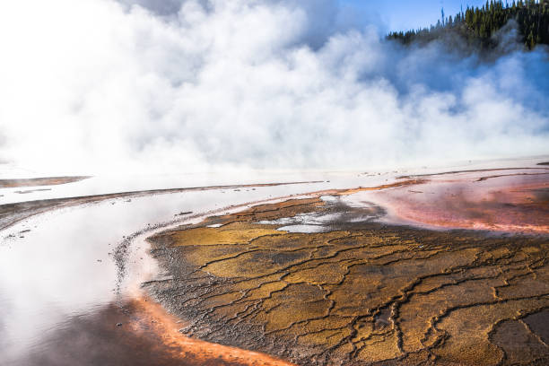istock Gibbon Falls Yellowstone Park 1484517055