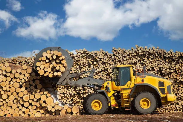 Photo of Loading logs with a special loader.