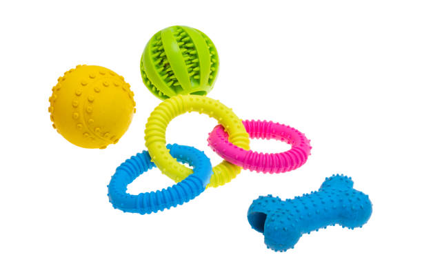 istock dog toys isolated 1484517561