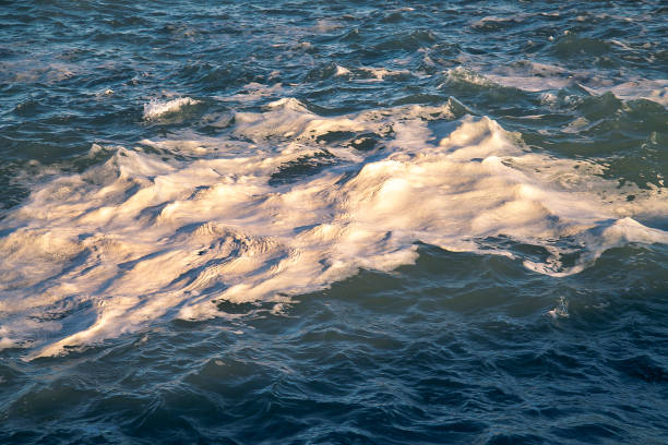 seascape with surface of the sea agitated and dirty with powerful waves