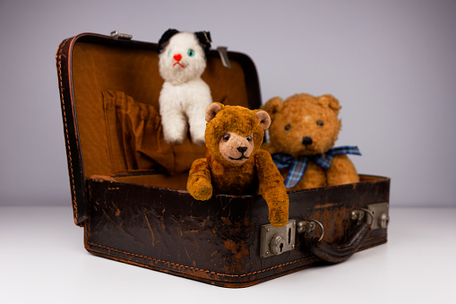 two teddies sitting inside a small vintage case with additional accessories