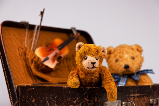 two teddies sitting inside a small vintage case with additional accessories