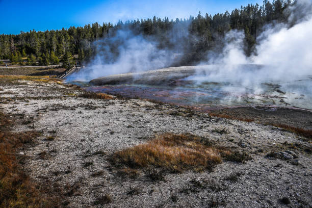 istock Gibbon Falls Yellowstone Park 1484522781