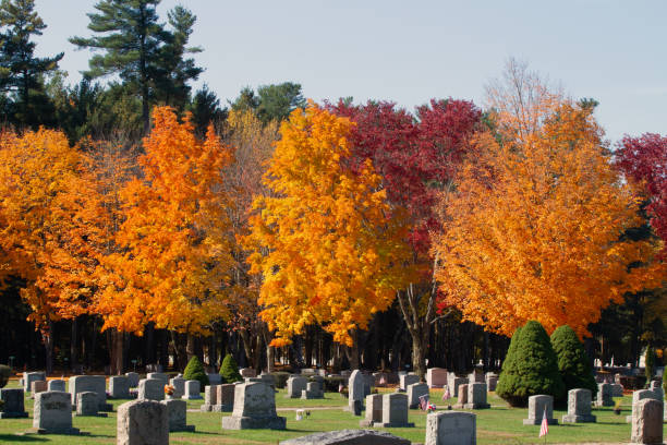 istock Autumn in the Cemetary 1484532362