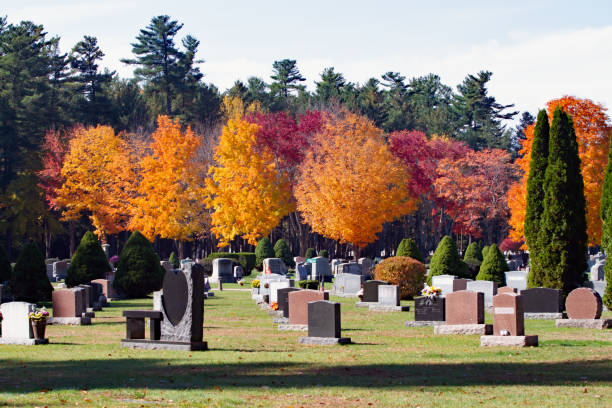 istock Autumn in the Cemetary 1484533053