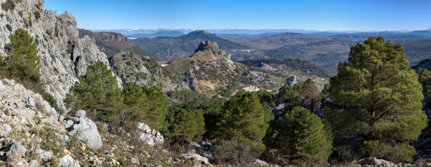 istock Sierra de Grazalema National Park. 1484542244