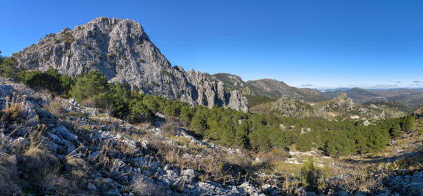 istock Sierra de Grazalema National Park. 1484543183