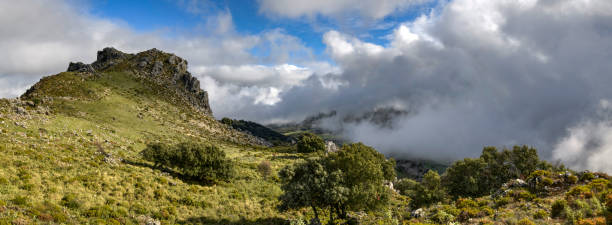 istock Sierra de Grazalema National Park. 1484543233