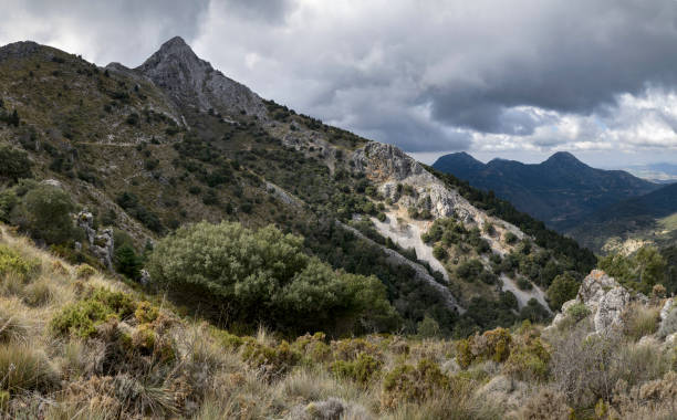 istock Sierra de Grazalema National Park. 1484543532