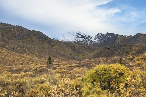 Canada, Yukon, view of the tundra in autumn, with mountains in background, beautiful landscape in a wild country