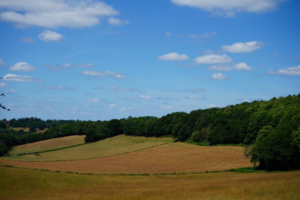 istock Views over farm fields and woodland 1484546165