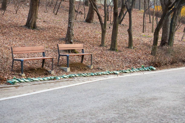 bench by the roadside in the park