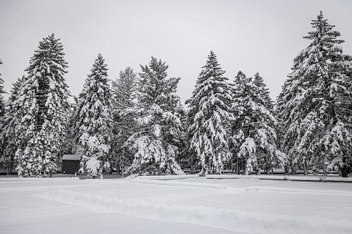 After a snowstorm. A public park in the region of Montreal in Canada.