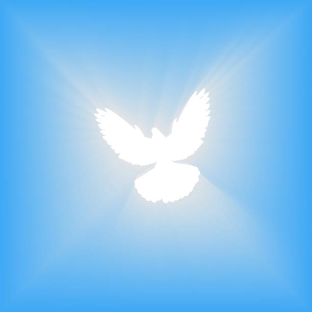 istock Flying dove. Blue background with bright rays. Easter. The symbol of purity. Christian faith. Holy Spirit. Vector illustration. 1484547152