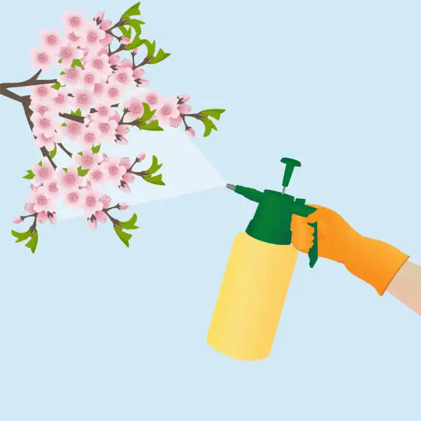 Vector illustration of Treatment of a blooming garden with pesticides. Hand in a glove sprays a chemical preparation on a branch of a blossoming fruit tree.Vector illustration in a cartoon style.