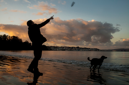 A Coruña, Spain - December 18, 2011: Man playing with his dog, throwing stick on the beach, A Coruña, Galicia, Spain. Wintertime.