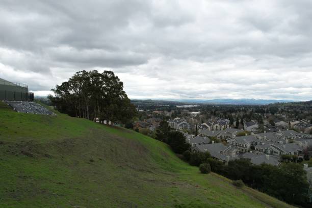 istock Mountains and wildflowers around San Ramon after a rain 1484548176