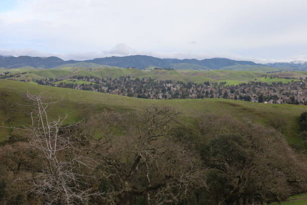 istock Mountains and wildflowers around San Ramon after a rain 1484548192