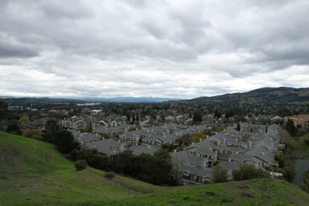 Mountains and wildflowers around San Ramon after a rain