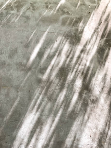 istock Reflection shadow of leaves on the wall 1484548809