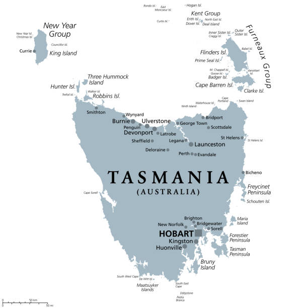 Tasmania, island state of Australia, gray political map Tasmania, island state of Australia, gray political map. Located south of the Australian mainland, surrounded by thousand islands, with the capital and largest city Hobart. Illustration. Vector. colonies map stock illustrations