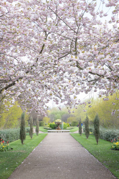 istock The Regents Park in London 1484552745