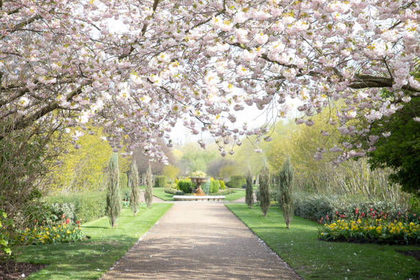 istock The Regents Park in London 1484552749
