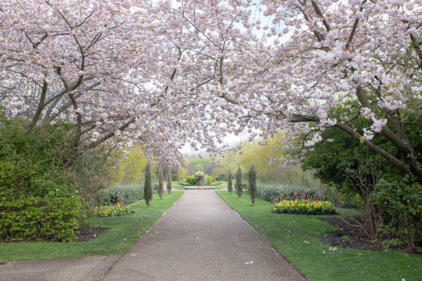 istock The Regents Park in London 1484552752