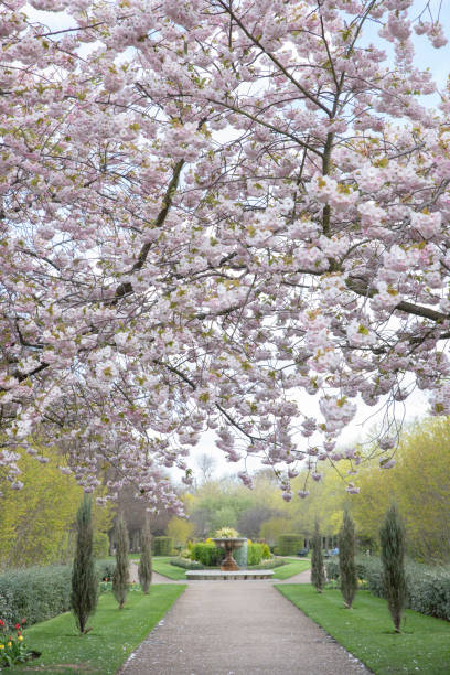 istock The Regents Park in London 1484552765