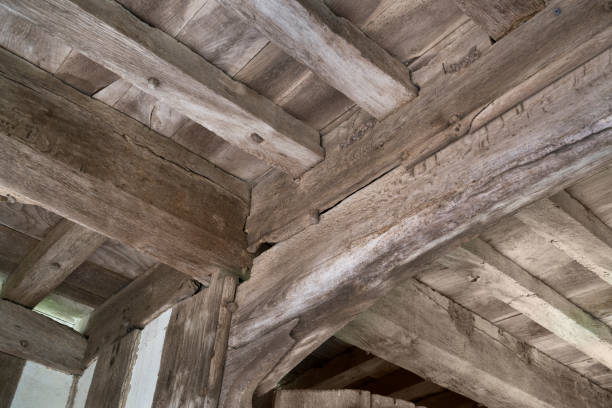 Very old wooden beams full of damp and woodworm but still surviving
