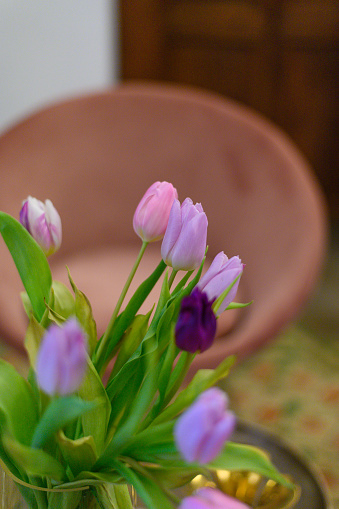 Vertical photo with copy space and selective focus on purple tulips in a pot inside a house